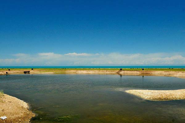 青海倒淌河.jpg