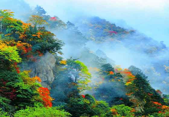 [雅安]東拉山大峽谷