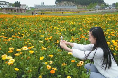 中國西充有機生活公園旅游攻略