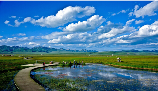 端午節(jié)好去處 九寨溝黃龍若爾蓋花湖4日游