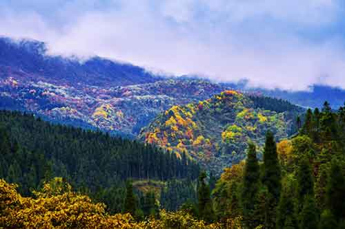 成都租車網帶你走進瑯琊榜中的四川美景