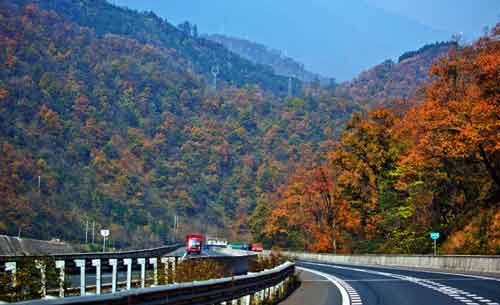 秋游正當時！成都租車旅游選哪一條？